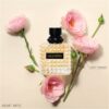 50ml4