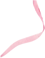 ribbon-top-left